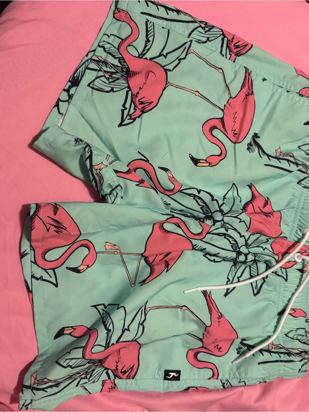 Hollister Mint Green Swim Shorts with Pink Flamingo Print